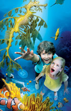Sealife