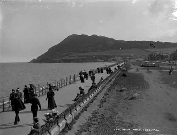 History of county wicklow